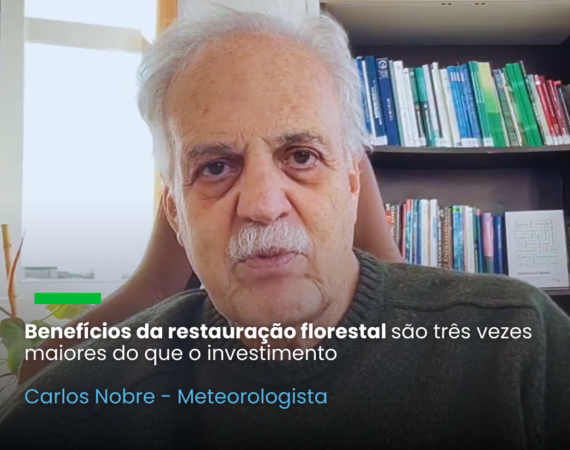 A secretária Nacional de Mudanças do Clima, Ana Toni, destacou os benefícios da restauração florestal durante webinar da Morfo Brasil sobre financiamento, com a presença do BNDES