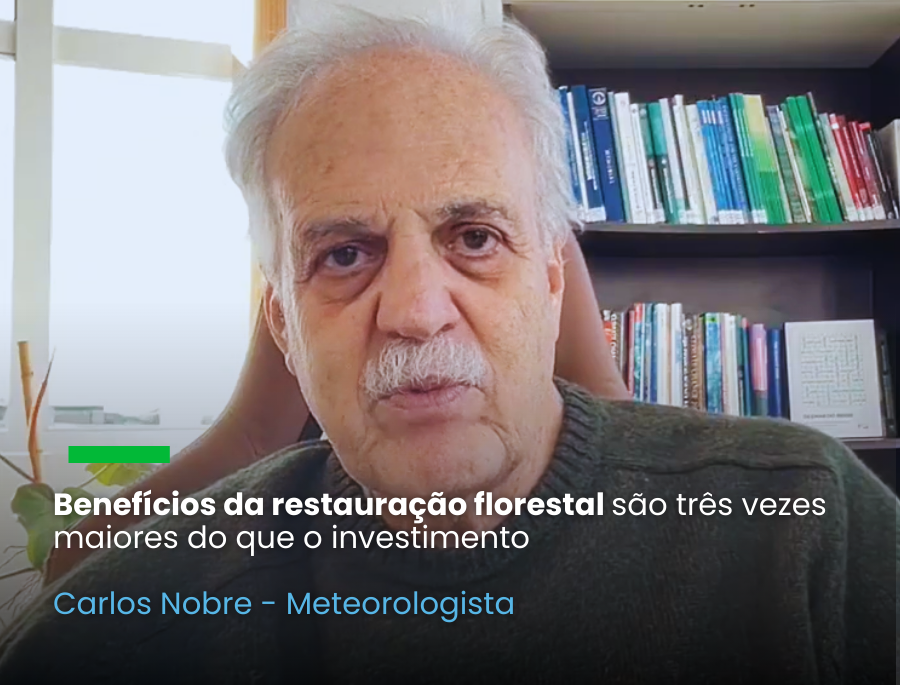 A secretária Nacional de Mudanças do Clima, Ana Toni, destacou os benefícios da restauração florestal durante webinar da Morfo Brasil sobre financiamento, com a presença do BNDES
