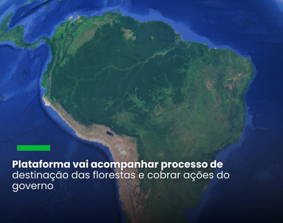 Terras sob gestão de quilombolas, indígenas, pequenos produtores e ribeirinhos têm baixa taxa de desmatamento