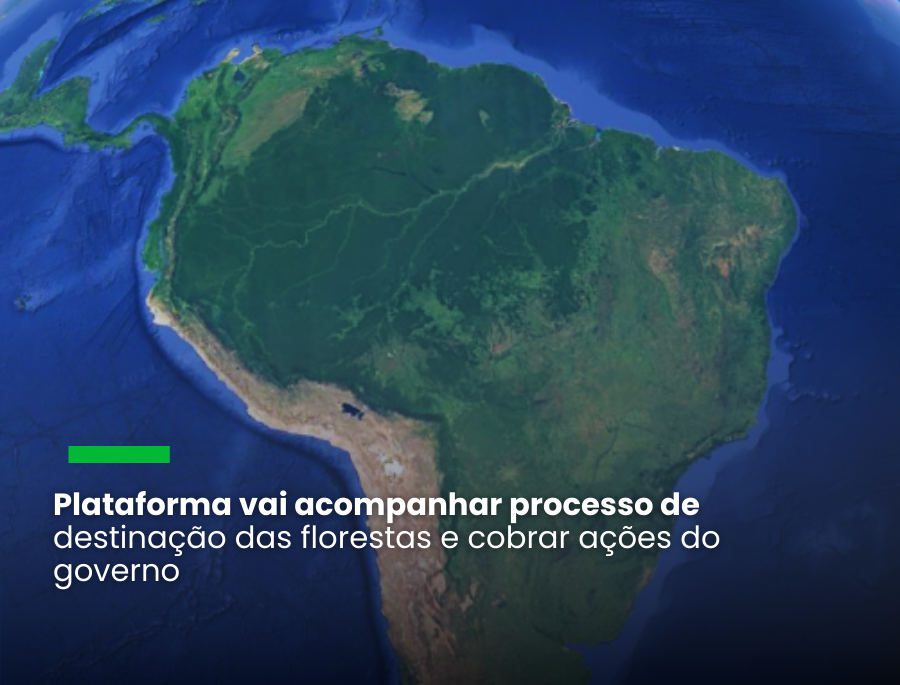 Terras sob gestão de quilombolas, indígenas, pequenos produtores e ribeirinhos têm baixa taxa de desmatamento