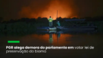 Até a aprovação de uma lei específica, deve ser aplicada a Lei da Mata Atlântica no bioma que, segundo o MapBiomas, aumento de 59,2% no desmatamento em 2023