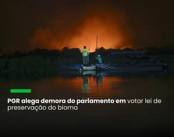 Até a aprovação de uma lei específica, deve ser aplicada a Lei da Mata Atlântica no bioma que, segundo o MapBiomas, aumento de 59,2% no desmatamento em 2023