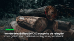 A maior certificadora global de projetos REDD+ decidiu por uma “ação extraordinária” enquanto a Polícia Federal conclui as investigações. Créditos foram comprados por grandes empresas