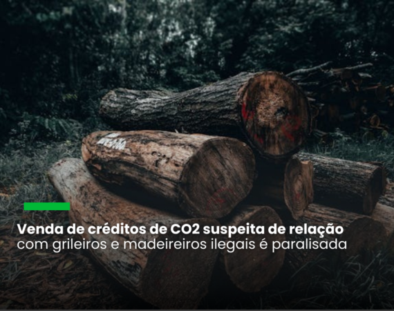 A maior certificadora global de projetos REDD+ decidiu por uma “ação extraordinária” enquanto a Polícia Federal conclui as investigações. Créditos foram comprados por grandes empresas