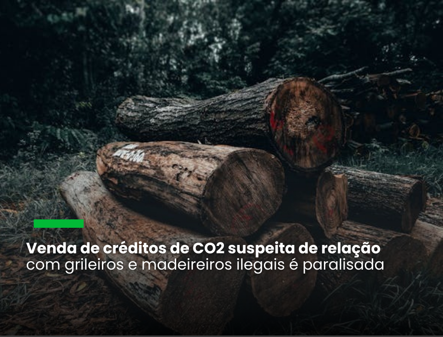 Verra suspende três projetos de crédito de carbono após operação policial no Brasil