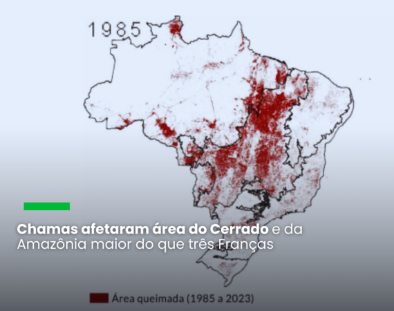 Área queimada corresponde a 23% de toda a extensão do país, equivalente ao tamanho do México, segundo estudo do MapBiomas Fogo; biomas mais afetados foram o Cerrado e a Amazônia