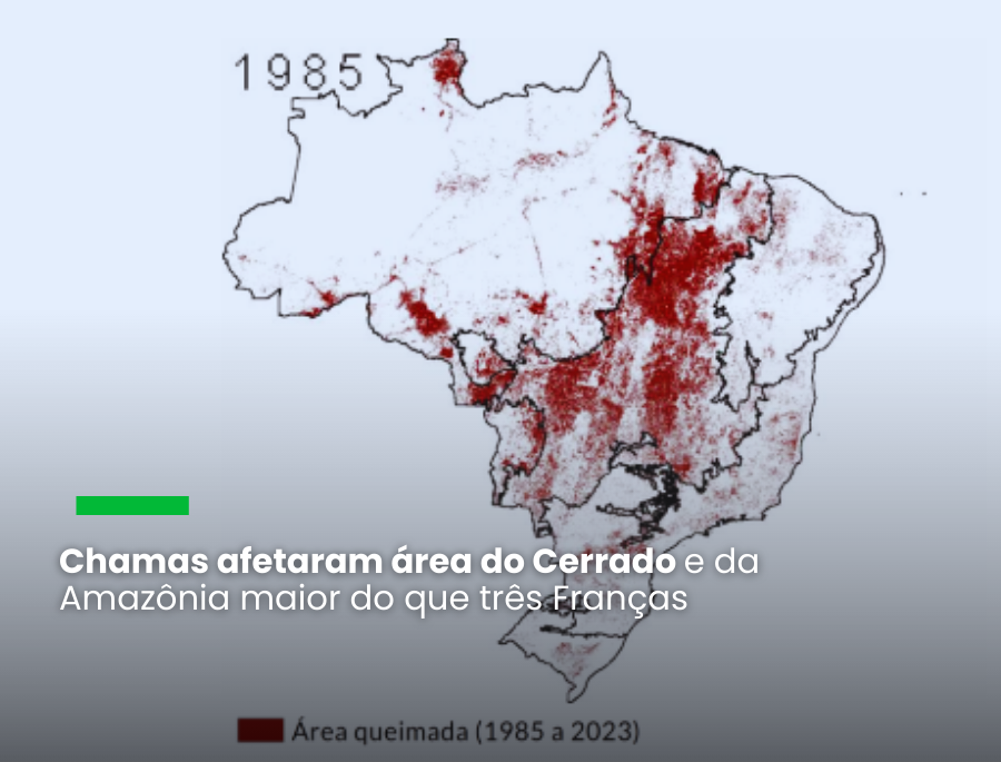 Fogo atingiu quase 200 milhões de hectares do Brasil nos últimos 39 anos