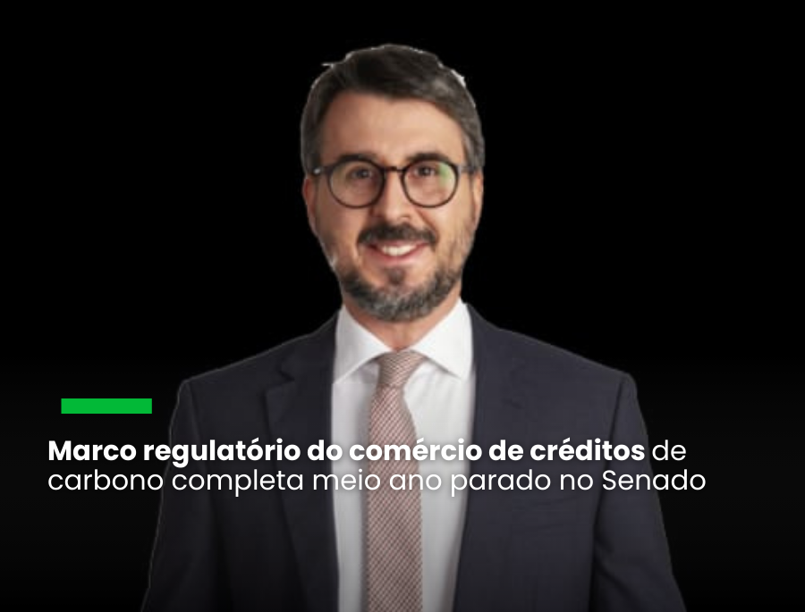 Janela de oportunidade para aprovação do mercado de carbono este ano está fechando 
