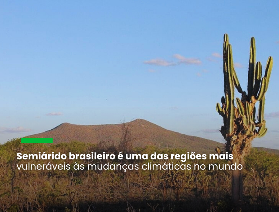 Desertificação na Caatinga reduz funcionalidade do solo e sua capacidade de sequestrar CO2
