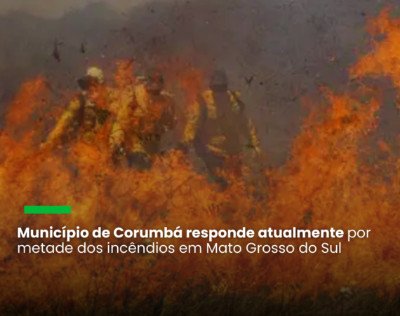 Declaração da ministra do Meio Ambiente e Mudança do Clima foi feita durante participação na reunião do Conselho de Desenvolvimento Econômico Social Sustentável, o Conselhão