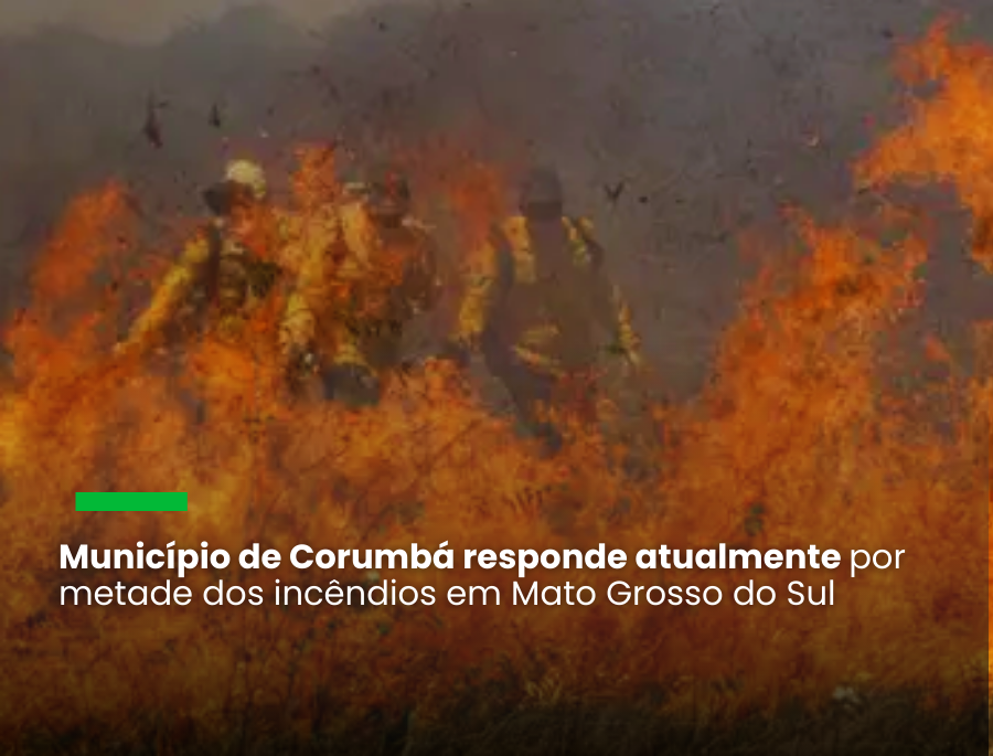 Declaração da ministra do Meio Ambiente e Mudança do Clima foi feita durante participação na reunião do Conselho de Desenvolvimento Econômico Social Sustentável, o Conselhão