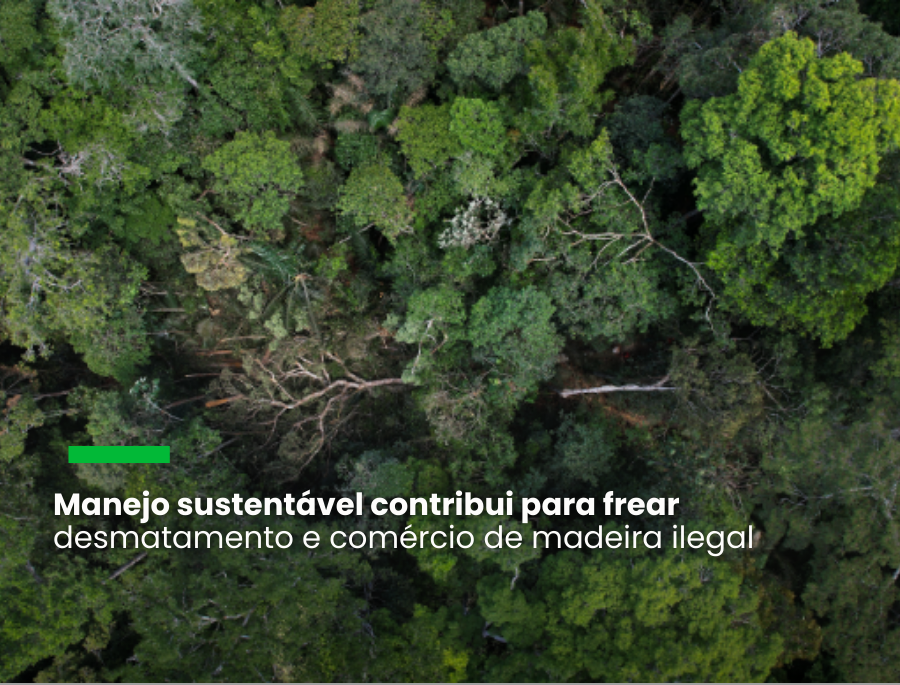 Serviço Florestal Brasileiro, Imaflora e Systemiq lançam parceria para dar escala à concessão de florestas públicas e garantir o manejo sustentável