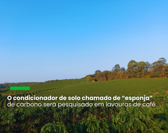 O projeto da JDE Peet's Brasil, companhia global líder em cafés e chás, está sendo desenvolvido com a Universidade Federal de Lavras (UFLA) e a NKG Fazendas Brasileiras