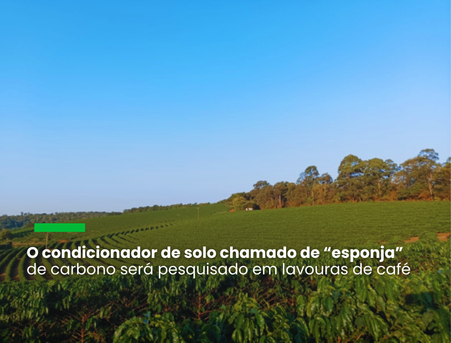 Dona da L’OR e outras marcas de café e chá vai estudar uso do biochar no Brasil