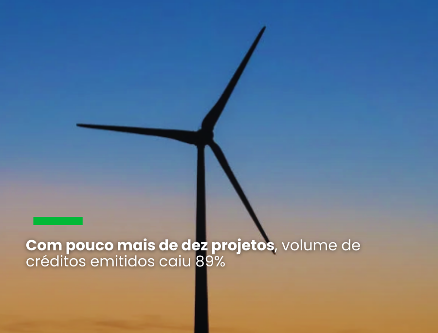 Redução pode estar relacionada à falta de confiança, mas a participação dos créditos de energia renovável aumentou para 45% do total. Já os de floresta e uso da terra diminuíram para 41%
