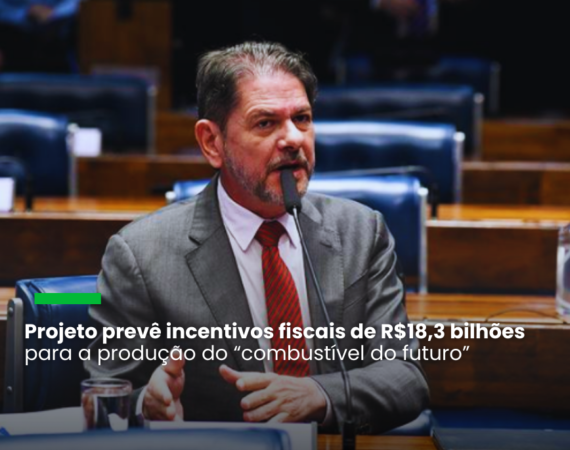 O texto regulamenta a produção, armazenamento, comercialização, exportação e importação do gás que pode ser usado pela indústria, na geração de energia elétrica e no abastecimento de carros