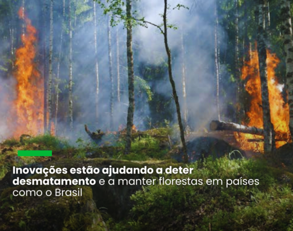 Relatório sobre o Estado das Florestas do Mundo 2024 traz estudo de caso sobre o Brasil, onde as novas tecnologias de gestão florestal estão ajudando a conter o desmatamento