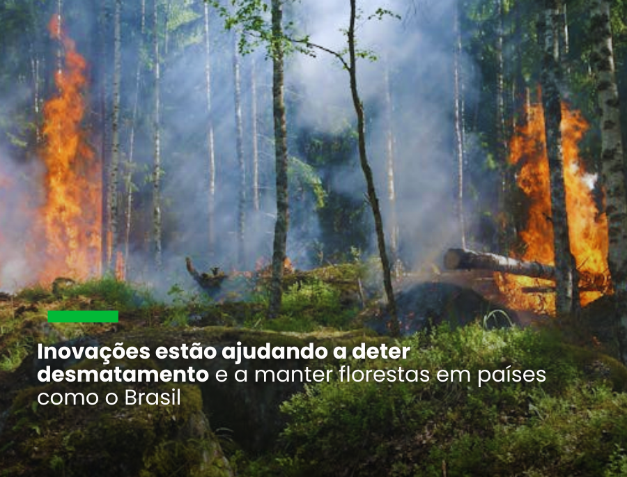Relatório sobre o Estado das Florestas do Mundo 2024 traz estudo de caso sobre o Brasil, onde as novas tecnologias de gestão florestal estão ajudando a conter o desmatamento