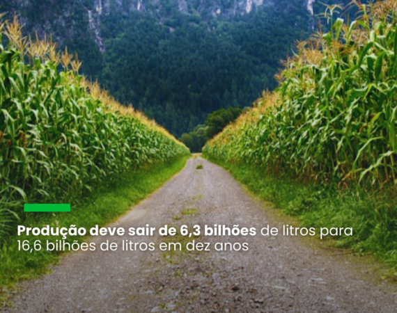 Segundo a União Nacional do Etanol de Milho, crescimento do setor visa a atender demanda interna crescente por biocombustíveis e diversificação da matriz energética nacional