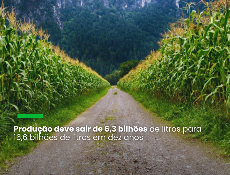 Segundo a União Nacional do Etanol de Milho, crescimento do setor visa a atender demanda interna crescente por biocombustíveis e diversificação da matriz energética nacional