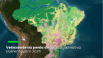O estudo do MapBiomas mostra que a perda de vegetação natural no país atingiu a marca histórica de 20% entre 1985 e 2023, ano em que essa tendência foi acelerada, chegando a 33% do território