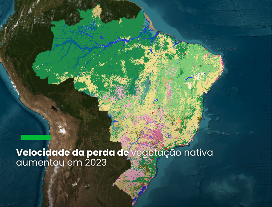 Mudança da cobertura e uso da terra elevam o risco climático do Brasil
