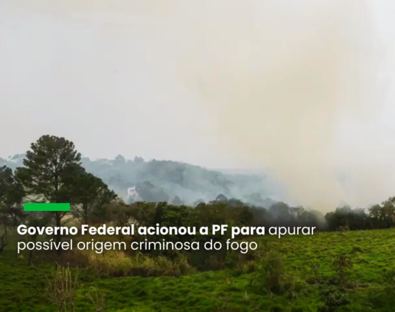 Responsabilidade por queimadas está sendo investigada pela PF em várias regiões do Brasil, sendo 31 na Amazônia e 20 na região do Pantanal