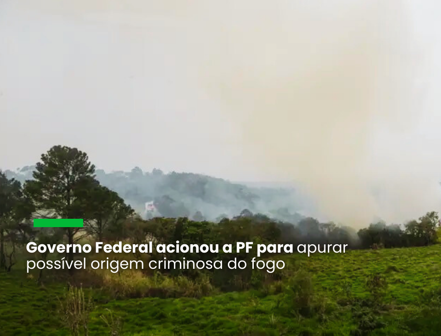 Responsabilidade por queimadas está sendo investigada pela PF em várias regiões do Brasil, sendo 31 na Amazônia e 20 na região do Pantanal