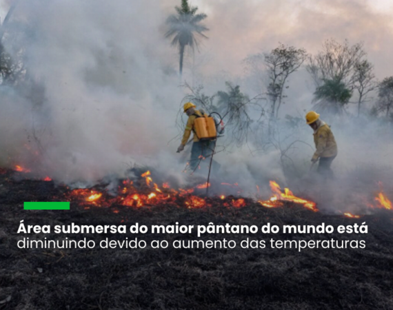 Calor, secas e ventos provocaram os incêndios "supercarregados" no maior pântano do mundo, segundo o primeiro estudo de atribuição realizado pelo WWA sobre o problema