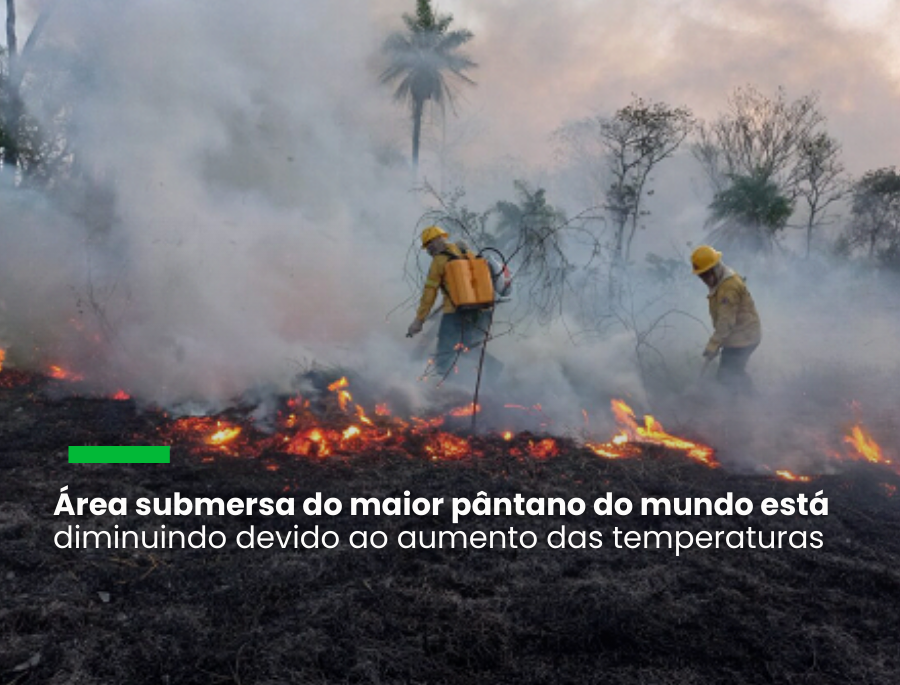 Calor, secas e ventos provocaram os incêndios "supercarregados" no maior pântano do mundo, segundo o primeiro estudo de atribuição realizado pelo WWA sobre o problema