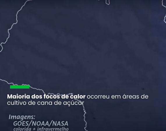 "Não é natural surgirem tantos focos de calor em um curto período, ainda mais em uma região como São Paulo”, afirma a diretora do IPAM, Ane Alencar