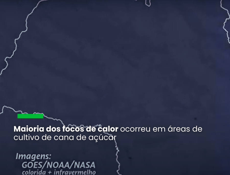 "Não é natural surgirem tantos focos de calor em um curto período, ainda mais em uma região como São Paulo”, afirma a diretora do IPAM, Ane Alencar