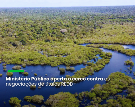 Contratos e comercialização devem ser paralisados enquanto não forem cumpridos requisitos como comprovação de eficácia na redução dos impactos climáticos ou não violação dos direitos das comunidades