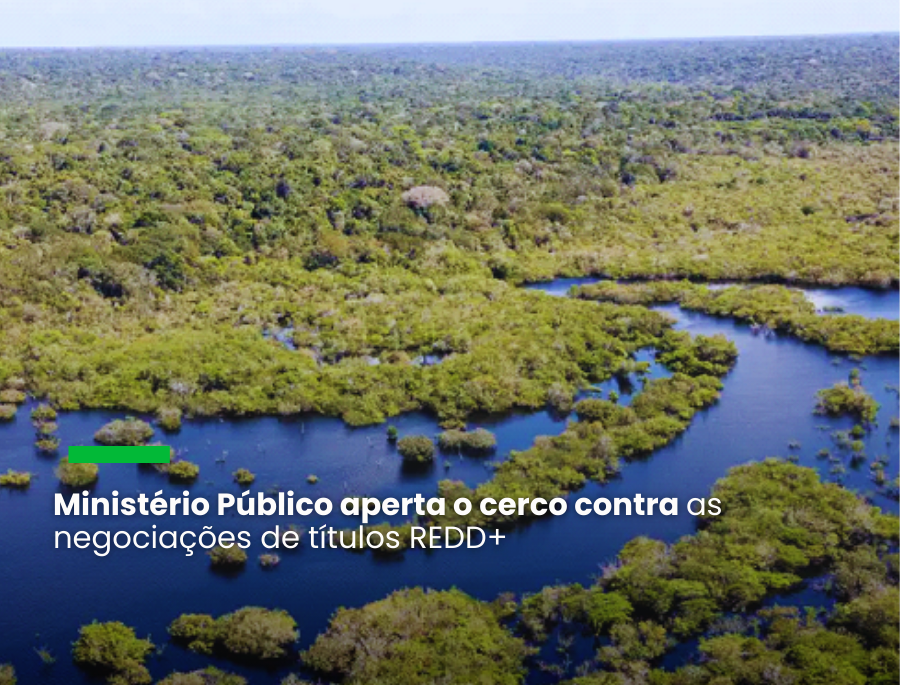 MPF recomenda suspensão de todas as atividades de crédito de carbono no Amazonas