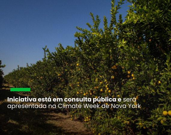 Serão aplicadas métricas de prestação de serviços como conservação florestal, manejo sustentável e manutenção ou melhoria de qualidade de água e do habitat para a biodiversidade