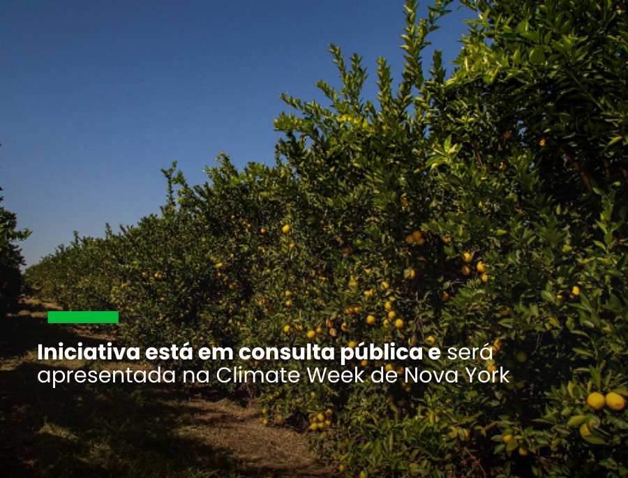 Citrosuco lança metodologia para converter serviços ambientais em créditos de carbono para o agro