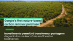 A iniciativa marca primeira aquisição de créditos baseados na natureza pelo Google e seu primeiro envolvimento com um projeto brasileiro de carbono