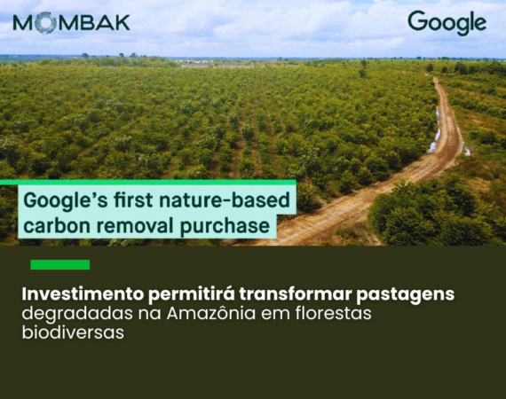 A iniciativa marca primeira aquisição de créditos baseados na natureza pelo Google e seu primeiro envolvimento com um projeto brasileiro de carbono