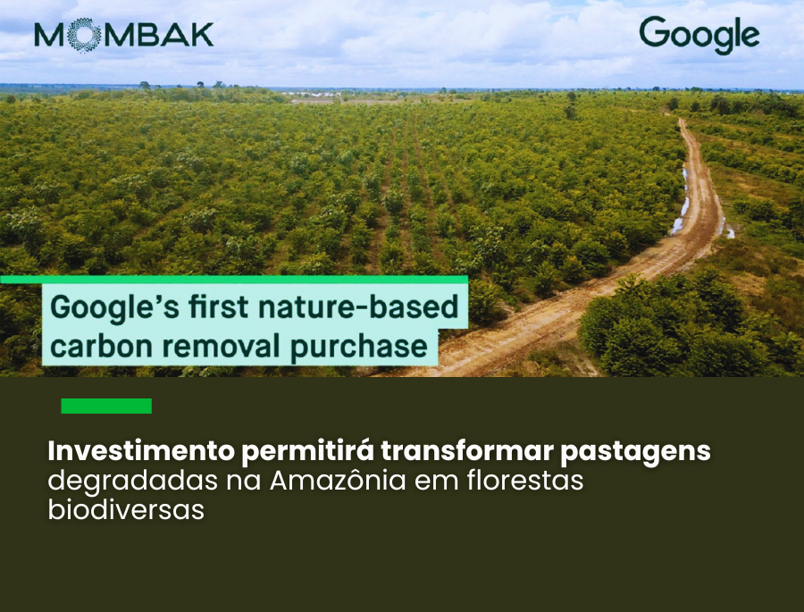 A iniciativa marca primeira aquisição de créditos baseados na natureza pelo Google e seu primeiro envolvimento com um projeto brasileiro de carbono