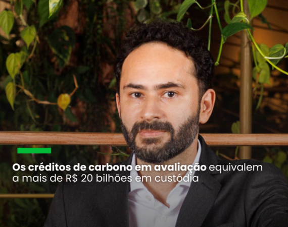 Nos próximos seis meses, a plataforma projeta analisar 105 desses projetos, certificando pelo menos um a cada mês