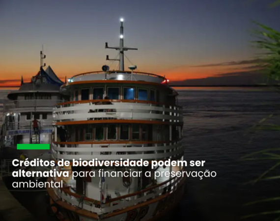 O primeiro projeto de créditos de biodiversidade em comunidades indígenas do Brasil vai adotar a metodologia do Instituto Life, informa a fundadora do Movimento Nova Economia, Carla Hoffmann