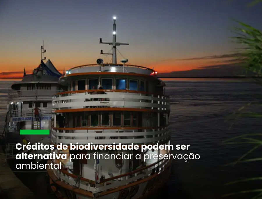 Incarbon vai lançar “Biocréditos Parintintin” na COP 16 da Colômbia