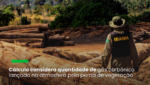 Nota técnica divulgada pela Abrampa e pelo Ipam apresenta fundamentos jurídicos para a responsabilização do desmatador e propõe metodologia para a apuração das perdas