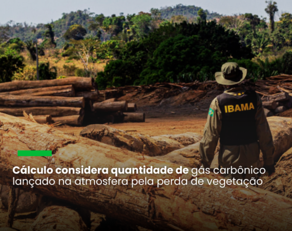 Nota técnica divulgada pela Abrampa e pelo Ipam apresenta fundamentos jurídicos para a responsabilização do desmatador e propõe metodologia para a apuração das perdas