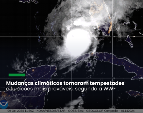 Os afetados podem ter alívio em prazos de arquivamento e outros requisitos regulatórios ou receber orientações em casos de suspeitas de fraudes