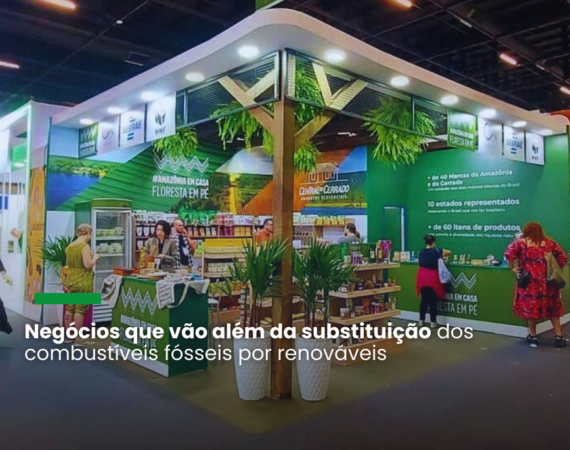 O sexto episódio da série Amazônia Urbana, da Climate Tracker, aborda os desafios e oportunidades da bioeconomia para o desenvolvimento sustentado e inclusivo, a preservação ambiental e do clima